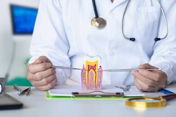 Best Orthodontic Emergency Dentist in Riverton, IL